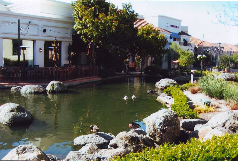 Scan10001